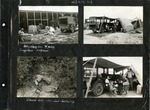 108_00: Four Black and White Photographs at an Expedition by George Fryer Sternberg 1883-1969