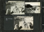 109_00: Three Black and White Photographs of Site South of Quinter by George Fryer Sternberg 1883-1969