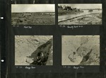 110_00: Four Black and White Photographs of a Faculty Field Trip by George Fryer Sternberg 1883-1969
