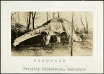 112_04: Dinosaur. Possibly Diploducus, "Hamburger" by George Fryer Sternberg 1883-1969