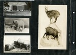 113_00: Black and White Photographs from Hastings, Nebraska by George Fryer Sternberg 1883-1969