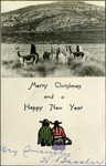 016_03: Christmas Card Featuring Llamas by George Fryer Sternberg 1883-1969