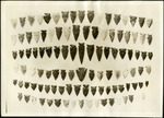 021_01: Display of Arrowheads by George Fryer Sternberg 1883-1969