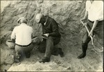 026_03: Working on the Limb Bone Fossil by George Fryer Sternberg 1883-1969