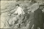 028_01: Digging a Hole by George Fryer Sternberg 1883-1969