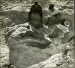 036_01: Two Men Looking Over a Fossil Being Excavated by George Fryer Sternberg 1883-1969