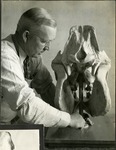 046_02: George Sternberg Processing a Rhino Skull in a Lab - Another View by George Fryer Sternberg 1883-1969