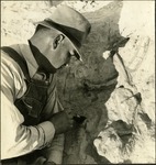 047_03: Up-close View of a Man Excavating a Fossil by George Fryer Sternberg 1883-1969