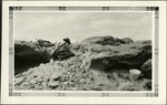 049_02: George Pierce Working on Excavating a Fossil by George Fryer Sternberg 1883-1969