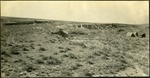 055_01: Landscape View by George Fryer Sternberg 1883-1969