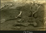 071_02: C. W. Gilmore With Fossils by George Fryer Sternberg 1883-1969
