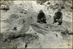 011_02: Two Men Working on Large Limb Bones by George Fryer Sternberg 1883-1969