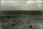 026_02: The Torrejon Formation by George Fryer Sternberg 1883-1969