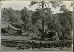 029_02: Camp Site in the White Mountains of Arizona by George Fryer Sternberg 1883-1969