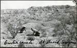 031_04: Looking for Fossils in Arizona by George Fryer Sternberg 1883-1969