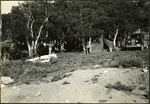 035_02: A Camp Site by George Fryer Sternberg 1883-1969