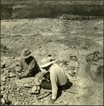 041_04: Processing a Fossil in the Field. by George Fryer Sternberg 1883-1969