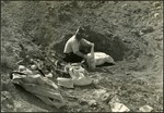 045_02: George Sternberg Processing a Fossil by George Fryer Sternberg 1883-1969