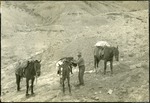 045_04: George Sternberg with Three Horses by George Fryer Sternberg 1883-1969