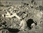 052_02: George F. Sternberg Processing a Fossil in the Field by George Fryer Sternberg 1883-1969