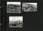 061_00: George Sternberg Photo Album Number 8 by George Fryer Sternberg 1883-1969