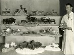 081_03: William Eastman with Models of Animals by George Fryer Sternberg 1883-1969