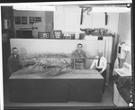 Myrl Walker, Leaford Windle, and George Sternberg with a Plesiosaur by George Fryer Sternberg 1883-1969