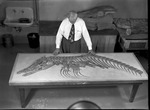 Lyman Wooster with a Mosasaur by George Fryer Sternberg 1883-1969