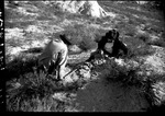 Fossil Hunting Trip with Two Men (1954) by George Fryer Sternberg 1883-1969