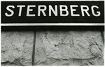 Sternberg Sign