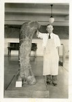 George Sternberg with Mastodon Femur
