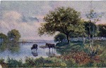 Postcard: The Merrimac River, Massachusetts