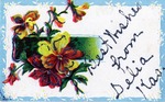 Postcard: Best Wishes from Delia Kas.