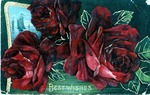 Postcard: Best Wishes, Roses