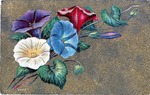 Postcard: Multi-Colored Flowers
