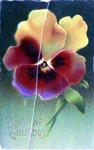 Postcard: Birthday Greetings, Orchid Flower