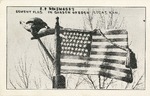 Postcard: S.P. Dinsmoor's Cement Flag in Garden of Eden, Lucas, Kansas