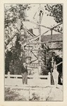 Postcard: Tree of Life, S. P. Dinsmoor, Lucas, Kansas