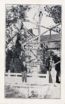 Postcard: Tree of Life, S. P. Dinsmoor, Lucas, Kansas with White Border