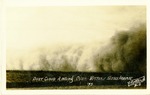 Postcard: Dust Cloud Rolling Over Western Kansas Prairie '35. No. D