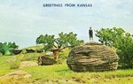 Postcard: Greetings from Kansas