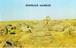 Postcard: Dinosaur Marbles