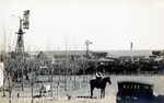 Postcard: J.W. Lough's Stock Farm Scott County, Kansas, 1916