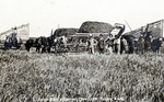 Postcard: 5. Ralph Rudd’s Harvest Crew 1909, Belpre Kansas