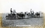 Postcard: Drilling Wheat Near Dorrance, Kansas