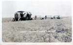 Postcard: Wheat Harvest, Hoxie Kansas, 1914
