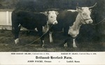 Postcard: Driftwood Hereford Farm, John Focke, Owner. Ludell, Kansas