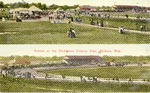 Postcard: Scenes at the Dickinson County Fair, Abilene, Kansas