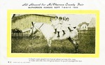 Postcard: All Aboard for McPherson County Fair, McPherson, Kansas. Sept. 7-8-9-10, 1909