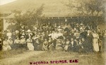 Postcard: Waconda Springs, Kansas